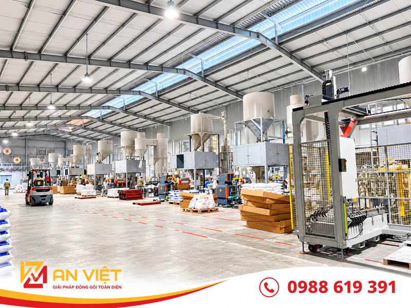 Lắp đặt dàn 10 cân đóng bao dạng hạt cho nhà máy An Tiến
